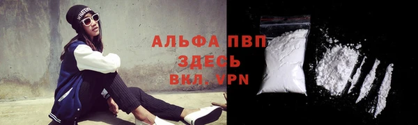 индика Куйбышев